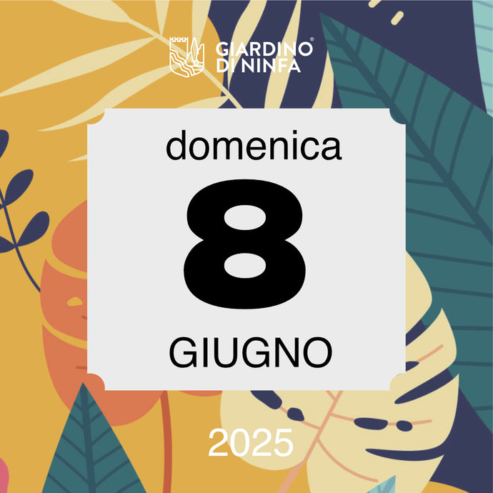 Domenica 8 Giugno 2025 - Giardino di Ninfa