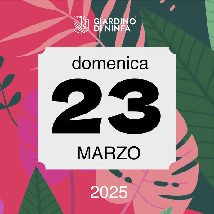 Domenica 23 Marzo 2025 - Giardino di Ninfa