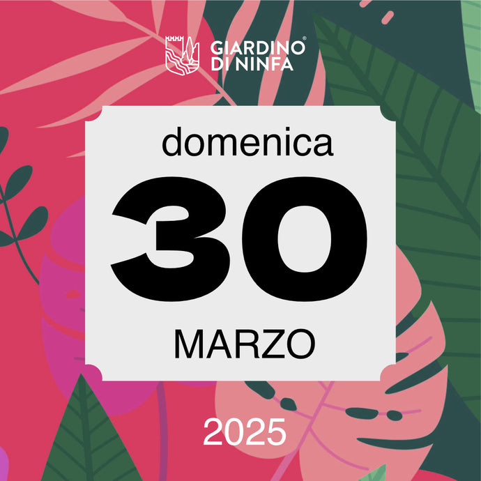 Domenica 30 Marzo 2025 - Giardino di Ninfa