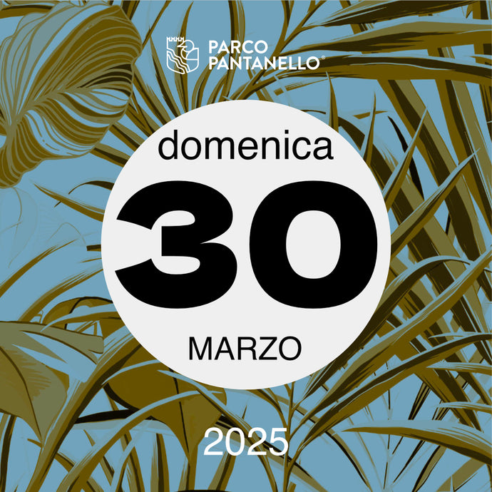 Domenica 30 Marzo 2025 - Parco Pantanello