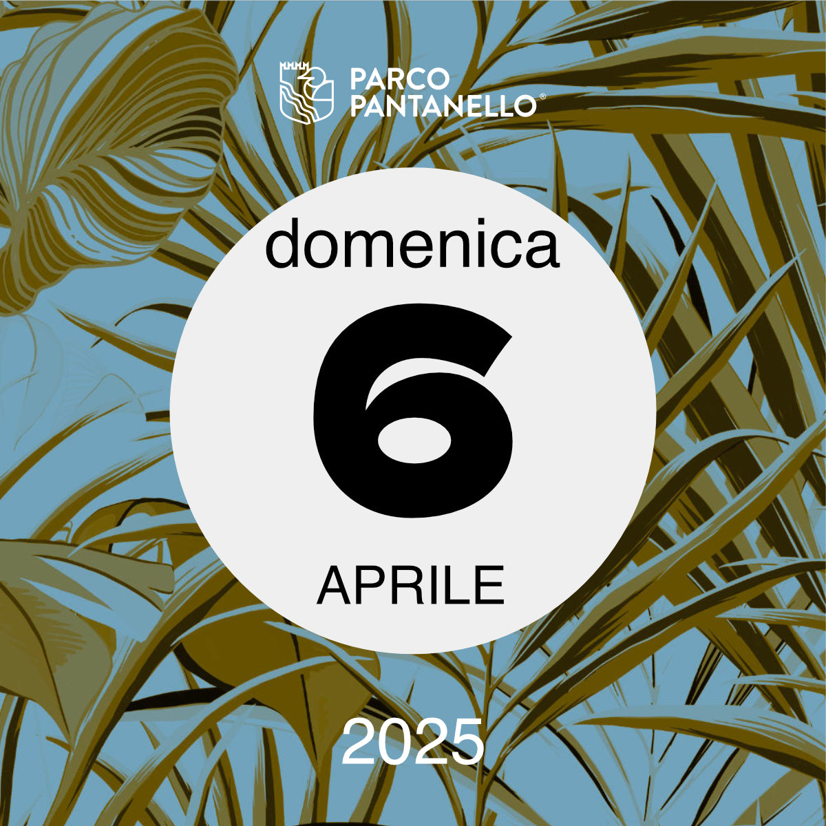 Domenica 6 Aprile 2025 - Parco Pantanello