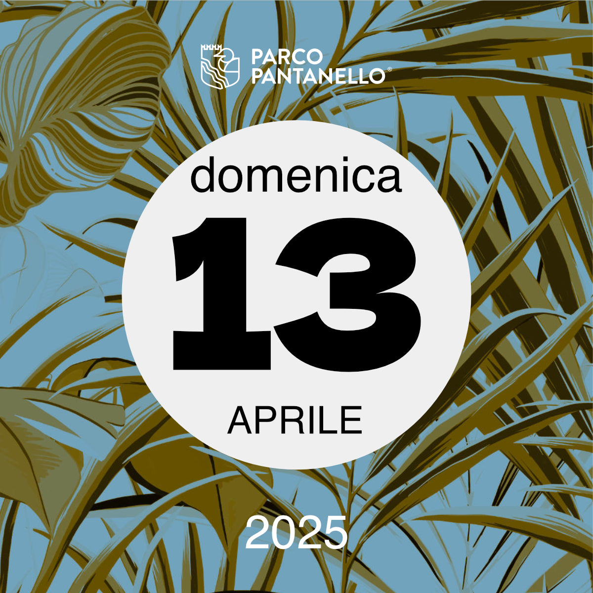 Domenica 13 Aprile 2025 - Parco Pantanello