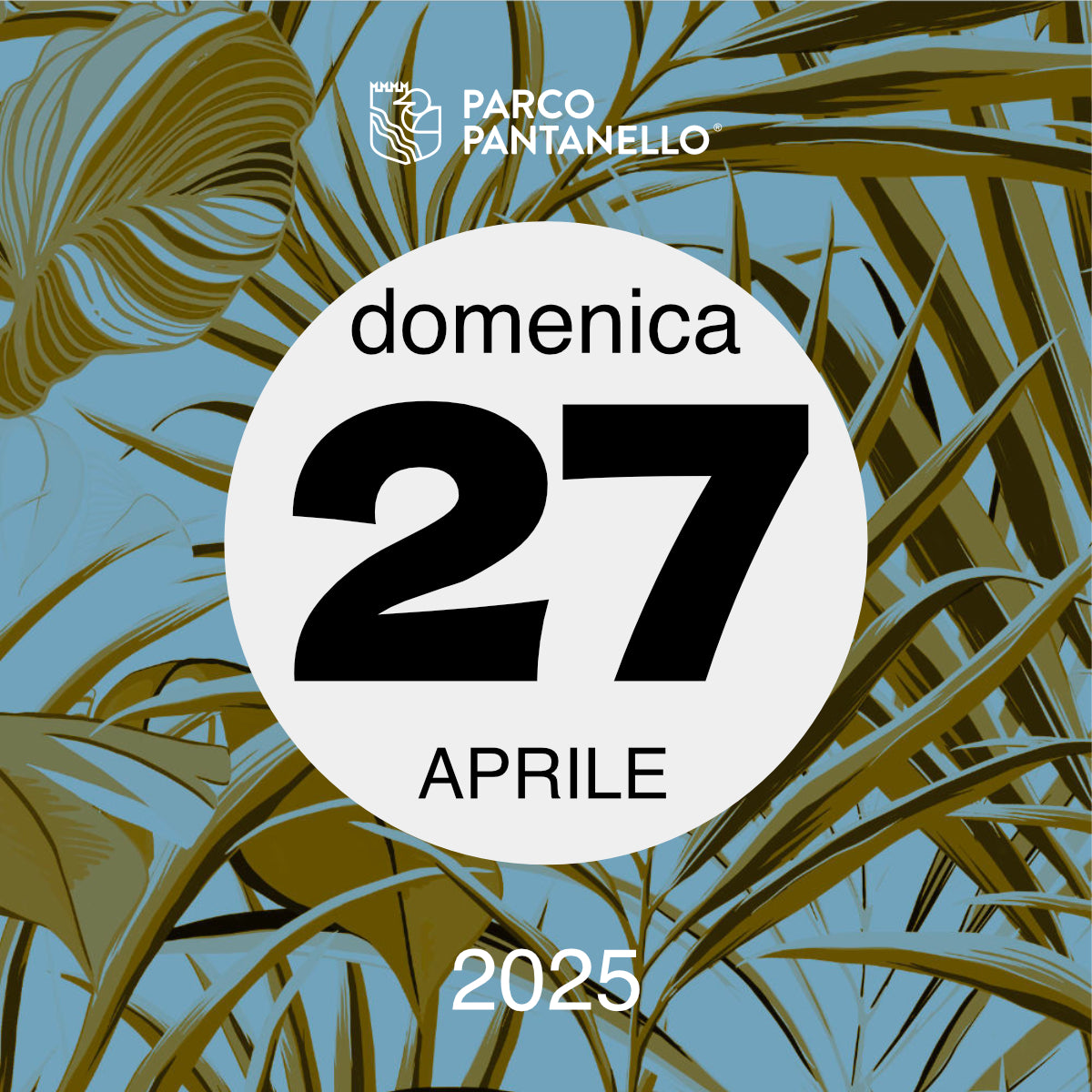 Domenica 27 Aprile 2025 - Parco Pantanello