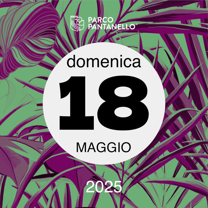 Domenica 18 Maggio 2025 - Parco Pantanello - Serata Lucciole