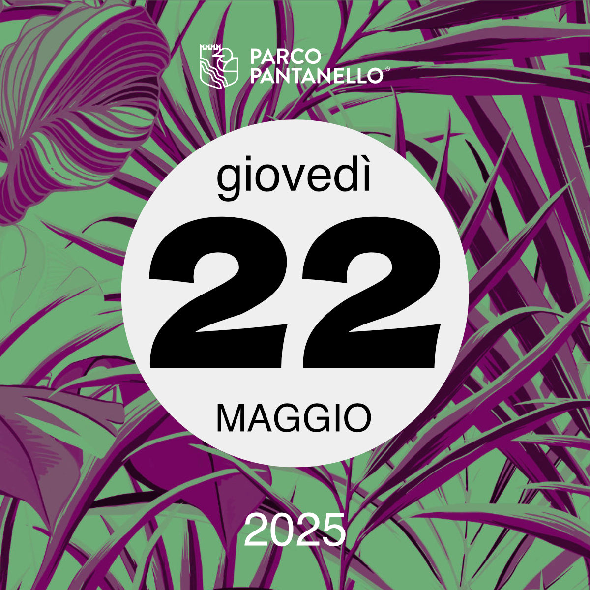 Giovedì 22 Maggio 2025 - Parco Pantanello - Serata Lucciole