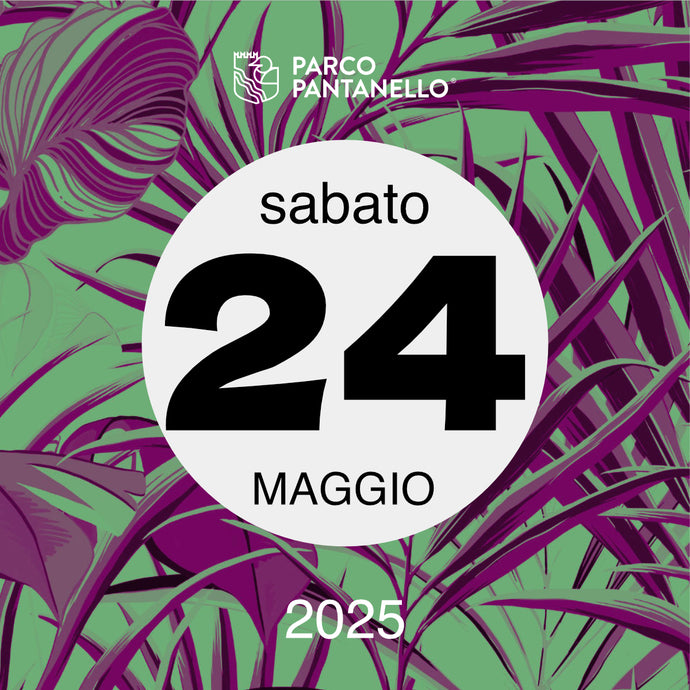 Sabato 24 Maggio 2025 - Parco Pantanello - Serata Lucciole