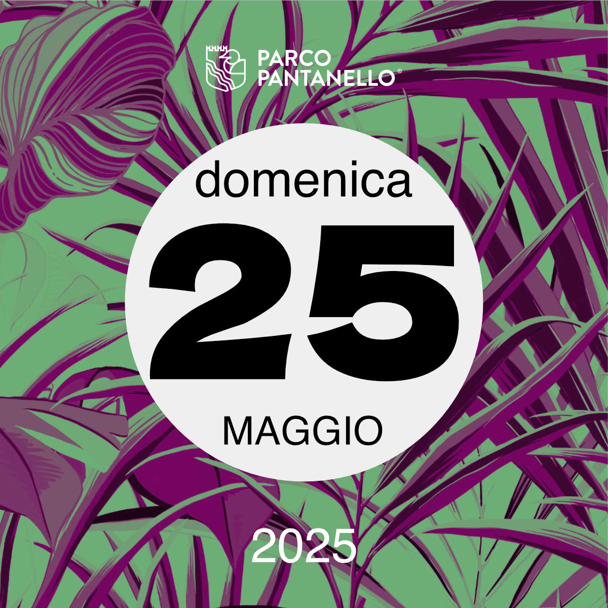 Domenica 25 Maggio 2025 - Parco Pantanello - Serata Lucciole