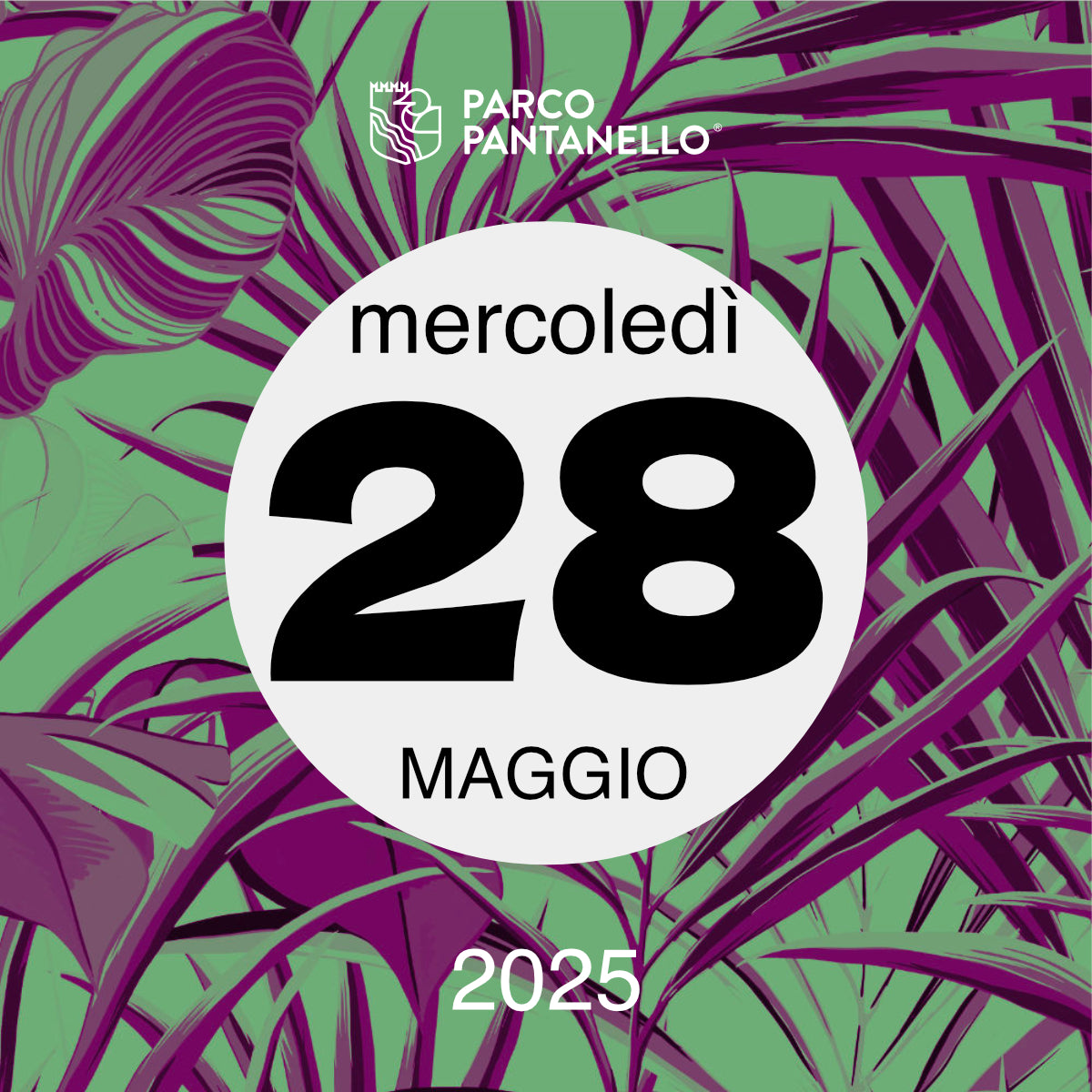 Mercoledì 28 Maggio 2025 - Parco Pantanello - Serata Lucciole