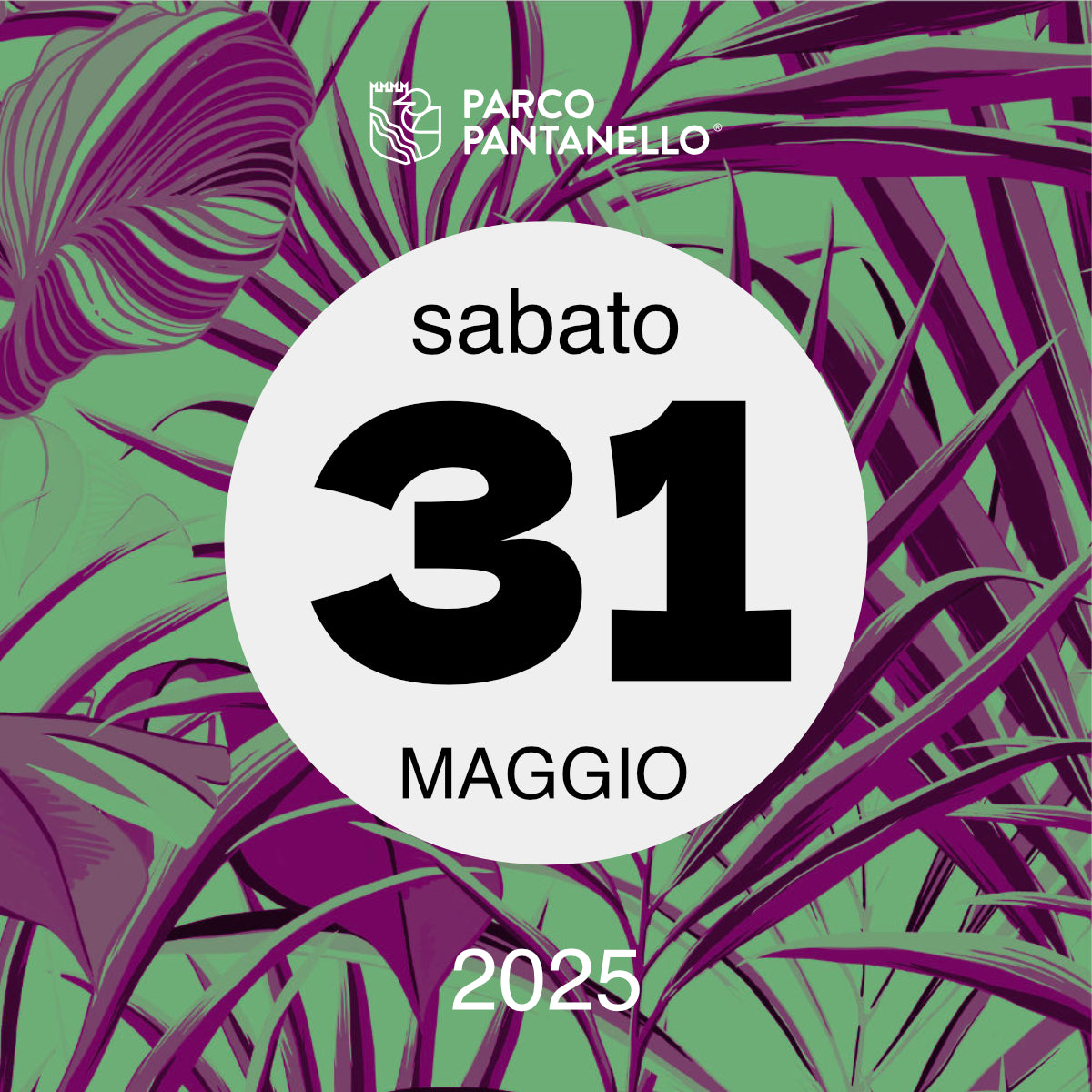 Sabato 31 Maggio 2025 - Parco Pantanello - Serata Lucciole