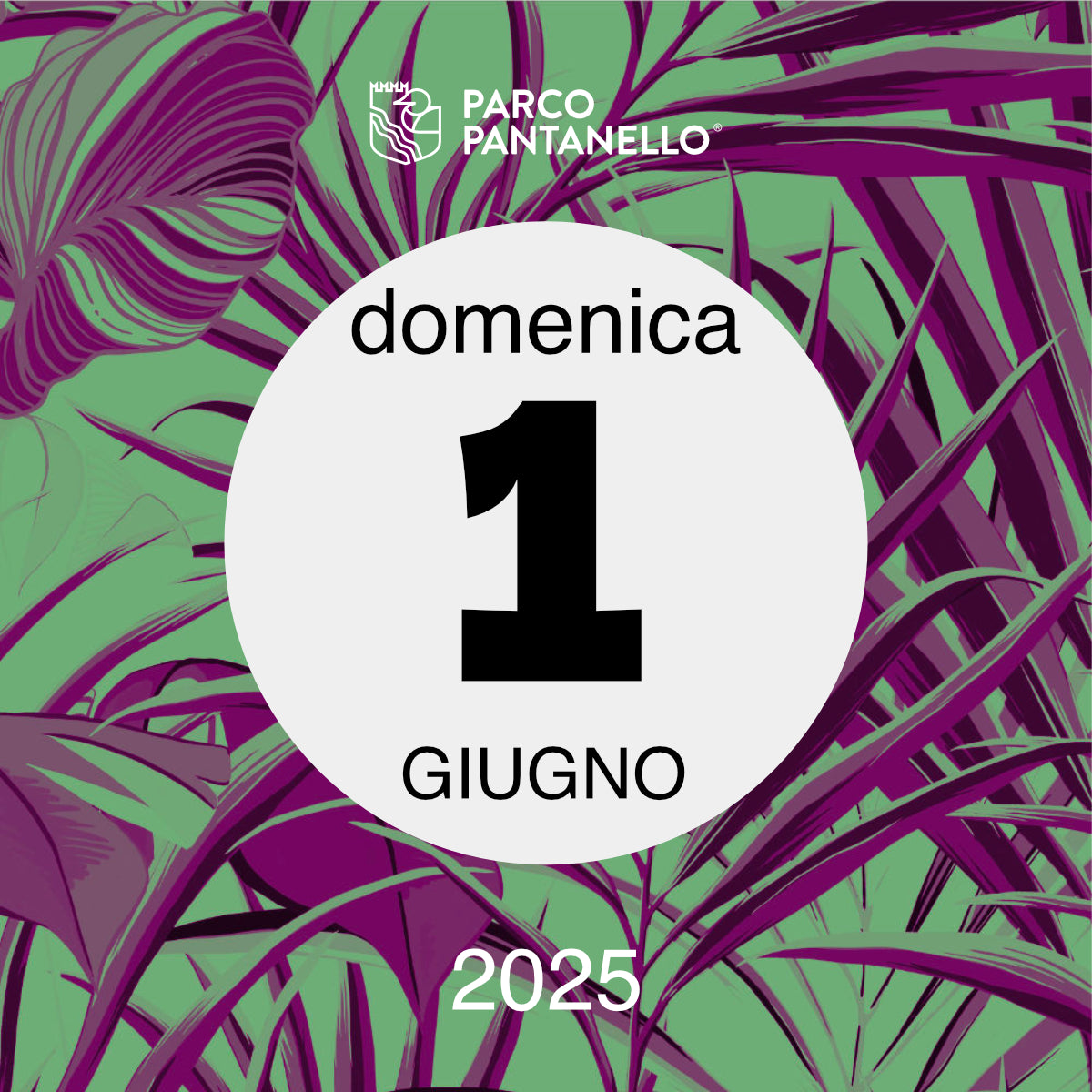 Domenica 1 Giugno 2025 - Parco Pantanello - Serata Lucciole