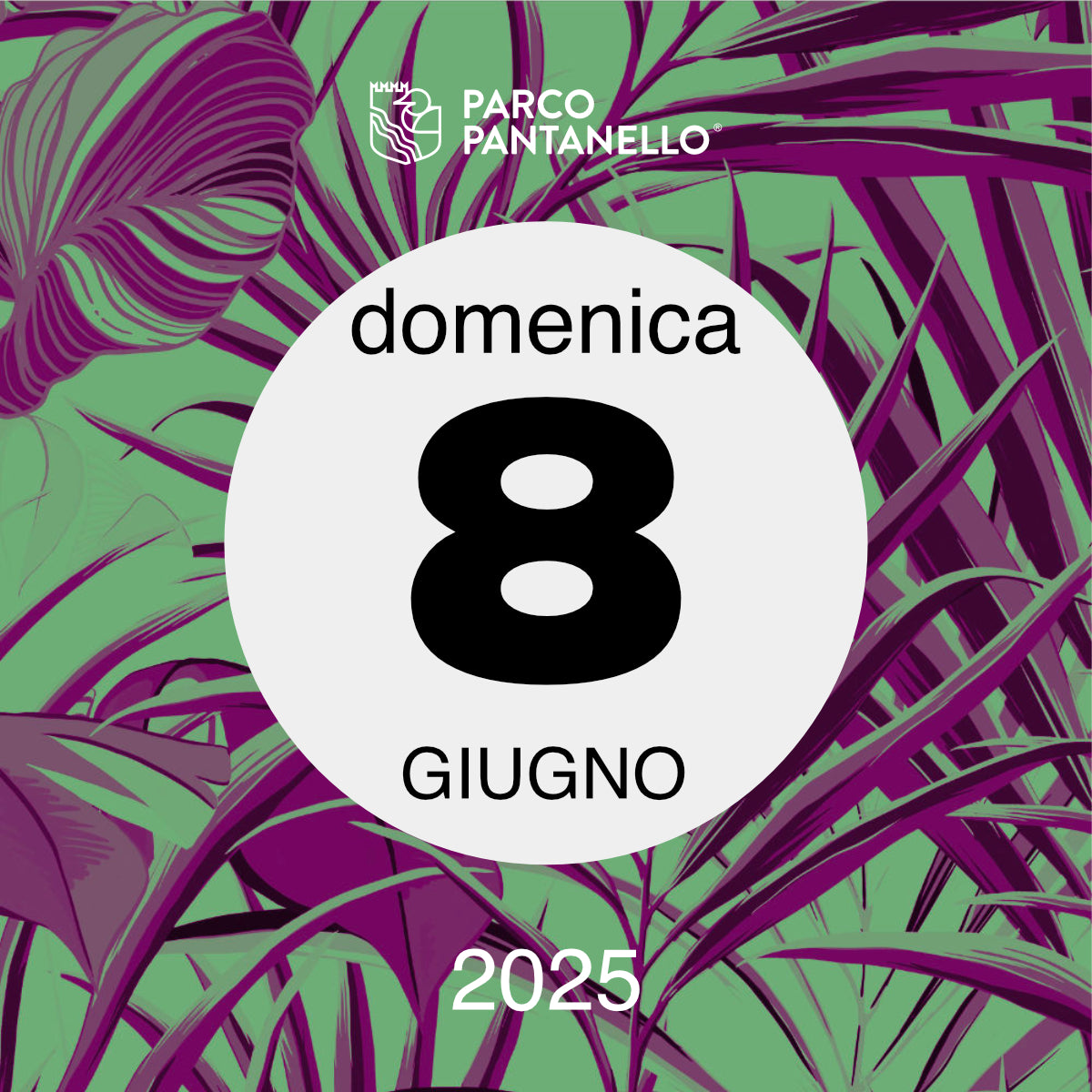 Domenica 8 Giugno 2025 - Parco Pantanello