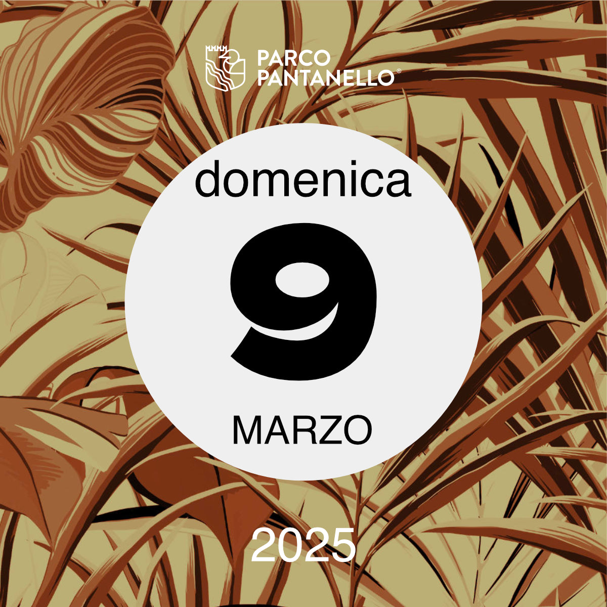 Domenica 9 Marzo 2025 - Parco Pantanello