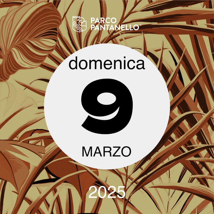 Domenica 9 Marzo 2025 - Parco Pantanello