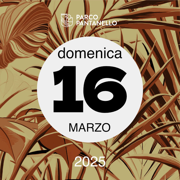 Domenica 16 Marzo 2025 - Parco Pantanello